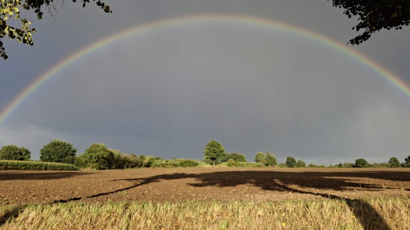 841763e3-d912-4066-93ae-9502628e9004