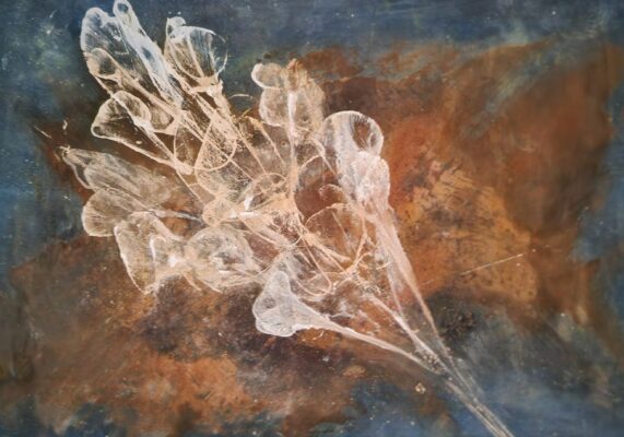 BlumenabstraktaufRost